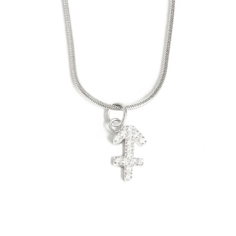 Steel Zodiac Symbol Necklace