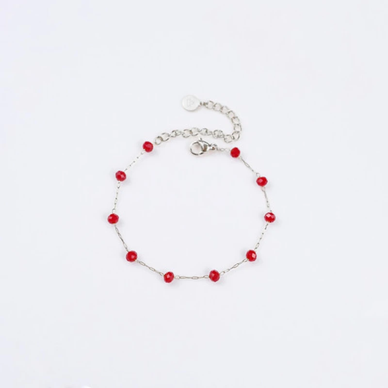 Steel Red Agate Chain Bracelet