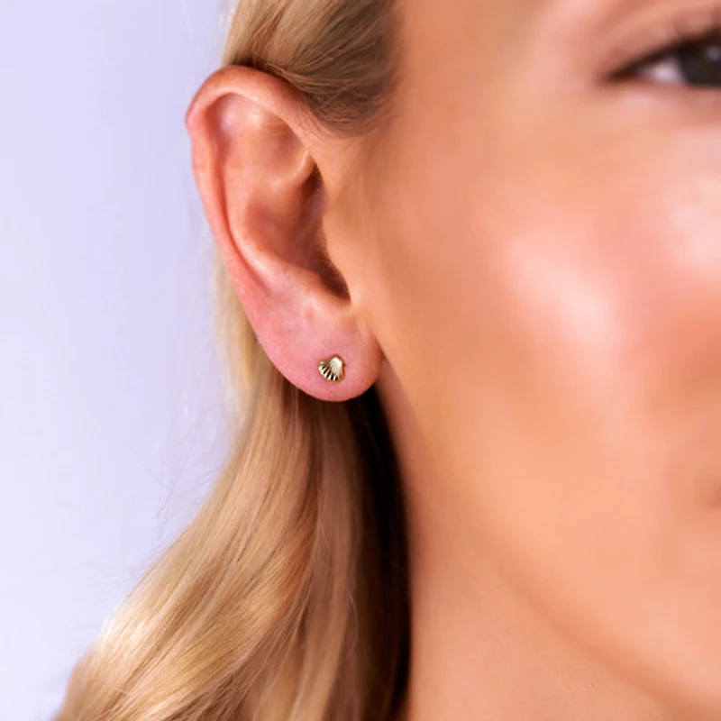 Shell Studs