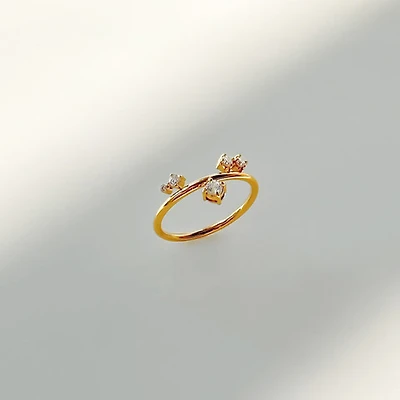 Cluttered Gem Ring