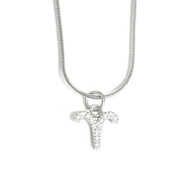 Steel Zodiac Symbol Necklace