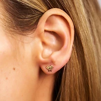 Bird Studs