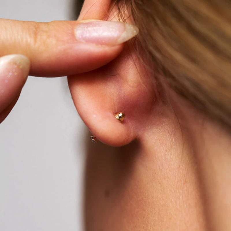 Bird Studs