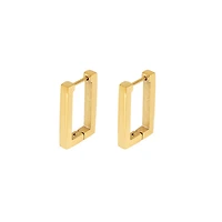 Small Rectangular Hoops