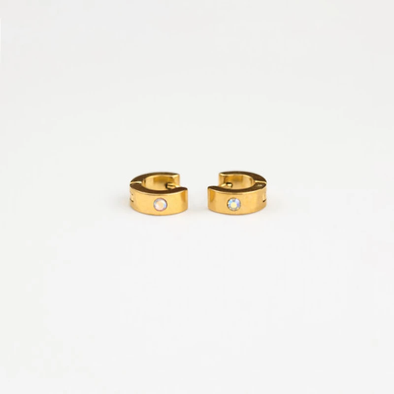 Rainbow Gem Hoops