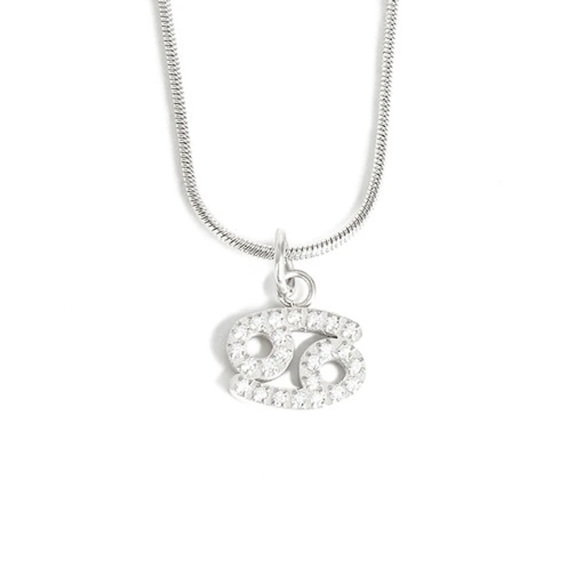 Steel Zodiac Symbol Necklace