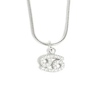 Steel Zodiac Symbol Necklace