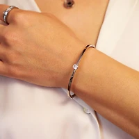 Steel Single Gem Bangle