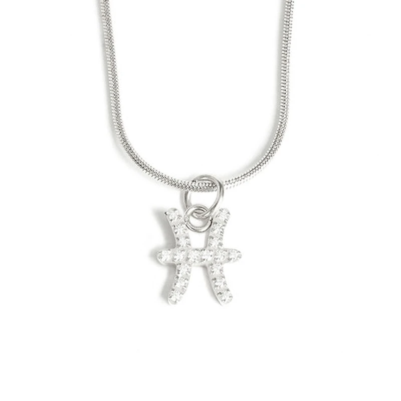 Steel Zodiac Symbol Necklace