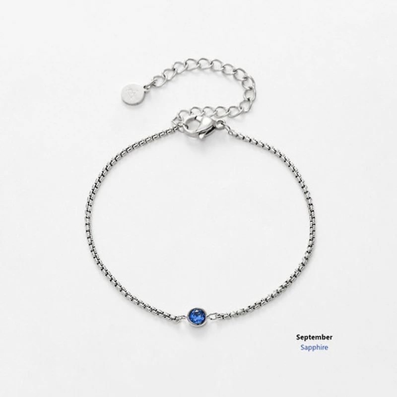 Steel Birthstone Bracelet