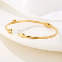 Steel Single Gem Bangle