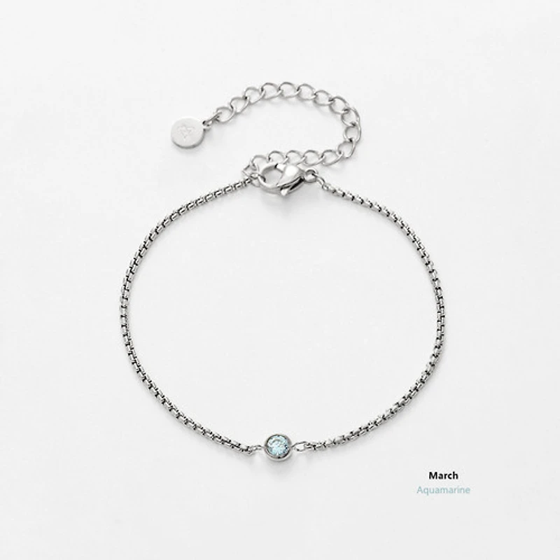 Steel Birthstone Bracelet