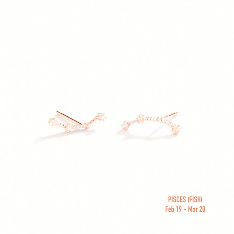 Zodiac Constellation Studs
