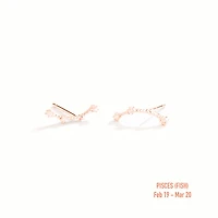 Zodiac Constellation Studs