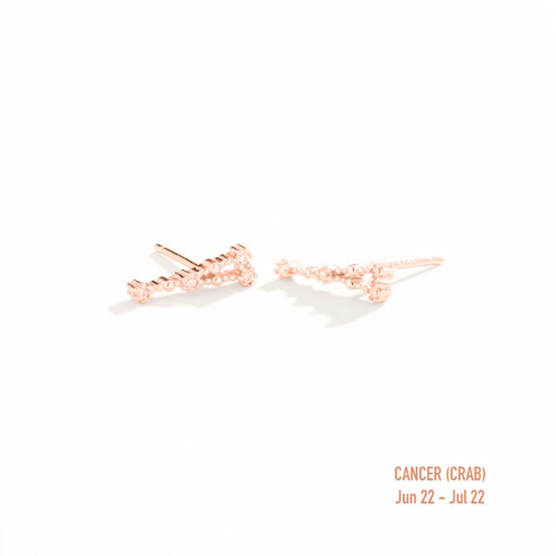 Zodiac Constellation Studs