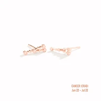 Zodiac Constellation Studs