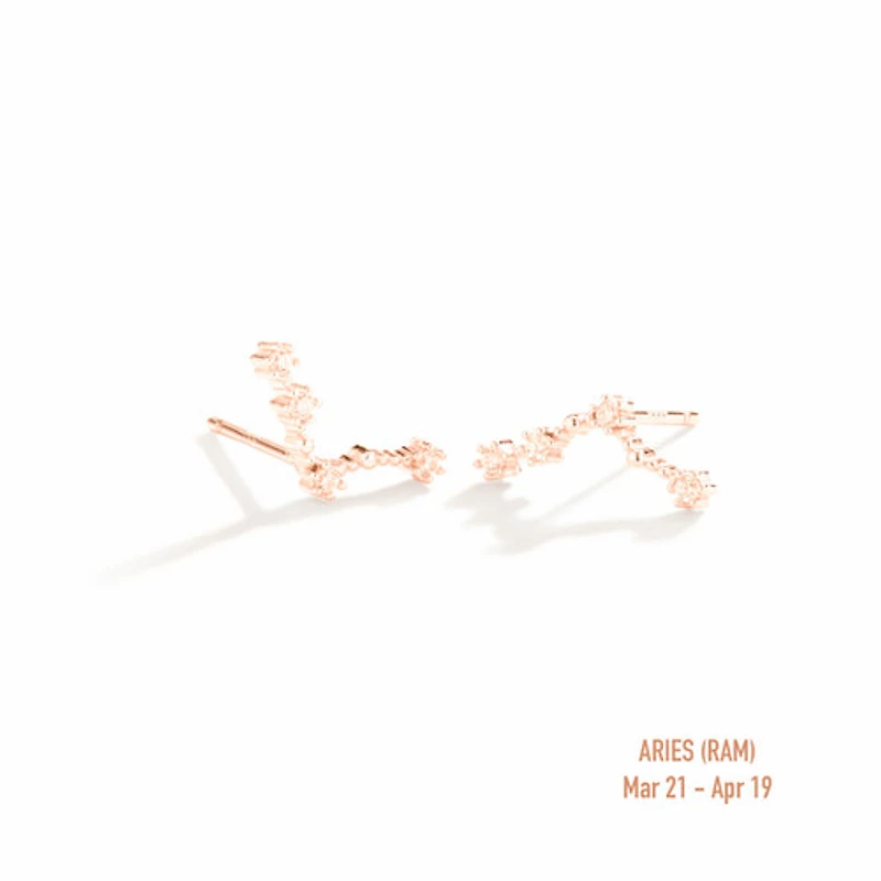 Zodiac Constellation Studs
