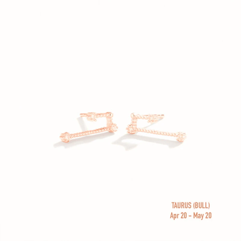 Zodiac Constellation Studs