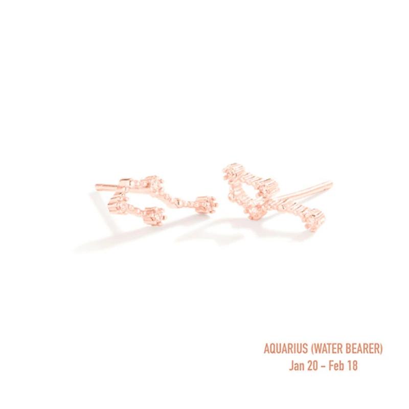 Zodiac Constellation Studs
