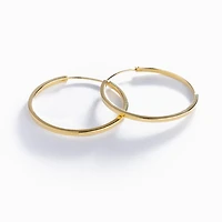 Basic Gold Hoops
