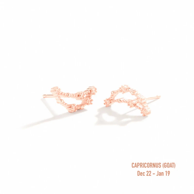 Zodiac Constellation Studs
