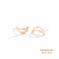 Zodiac Constellation Studs