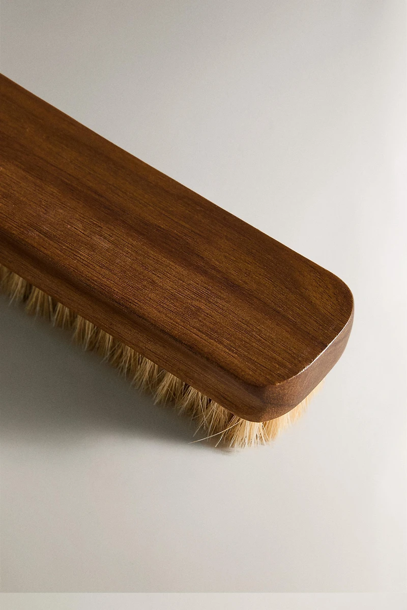 BROSSE LUSTRANTE CHAUSSURES