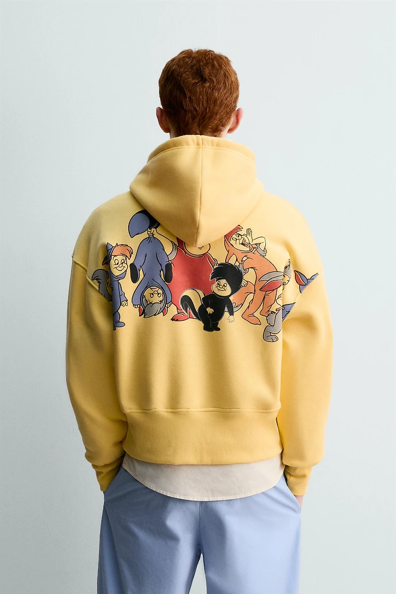 SWEAT À CAPUCHE LES ENFANTS PERDUS PETER PAN HARRY LAMBERT FOR ZARA X DISNEY