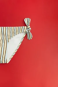 ZARA TIMELESS - STRIPED SWIM BOTTOMS