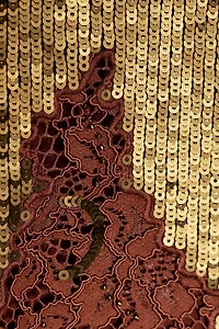 ZW COLLECTION LIMITED EDITION LACE SEQUIN DRESS