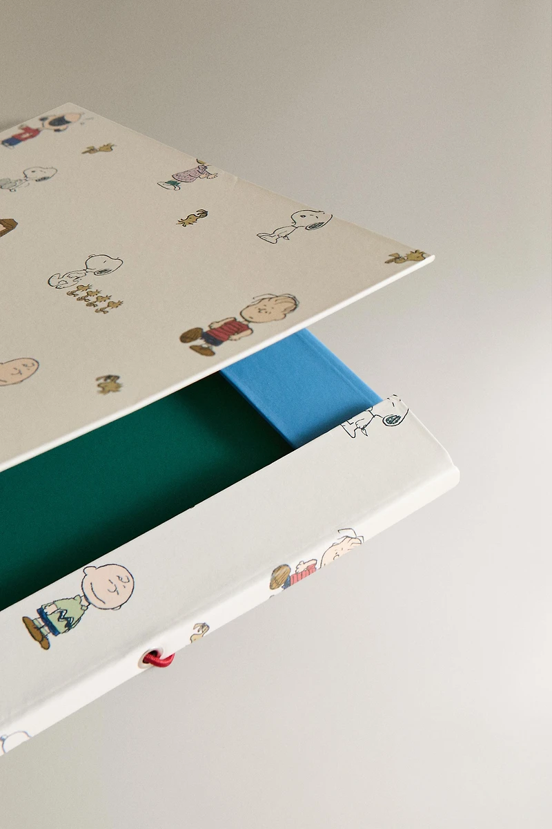 SET OF CHILDREN’S PEANUTS™ FOLDERS (SET OF 2)