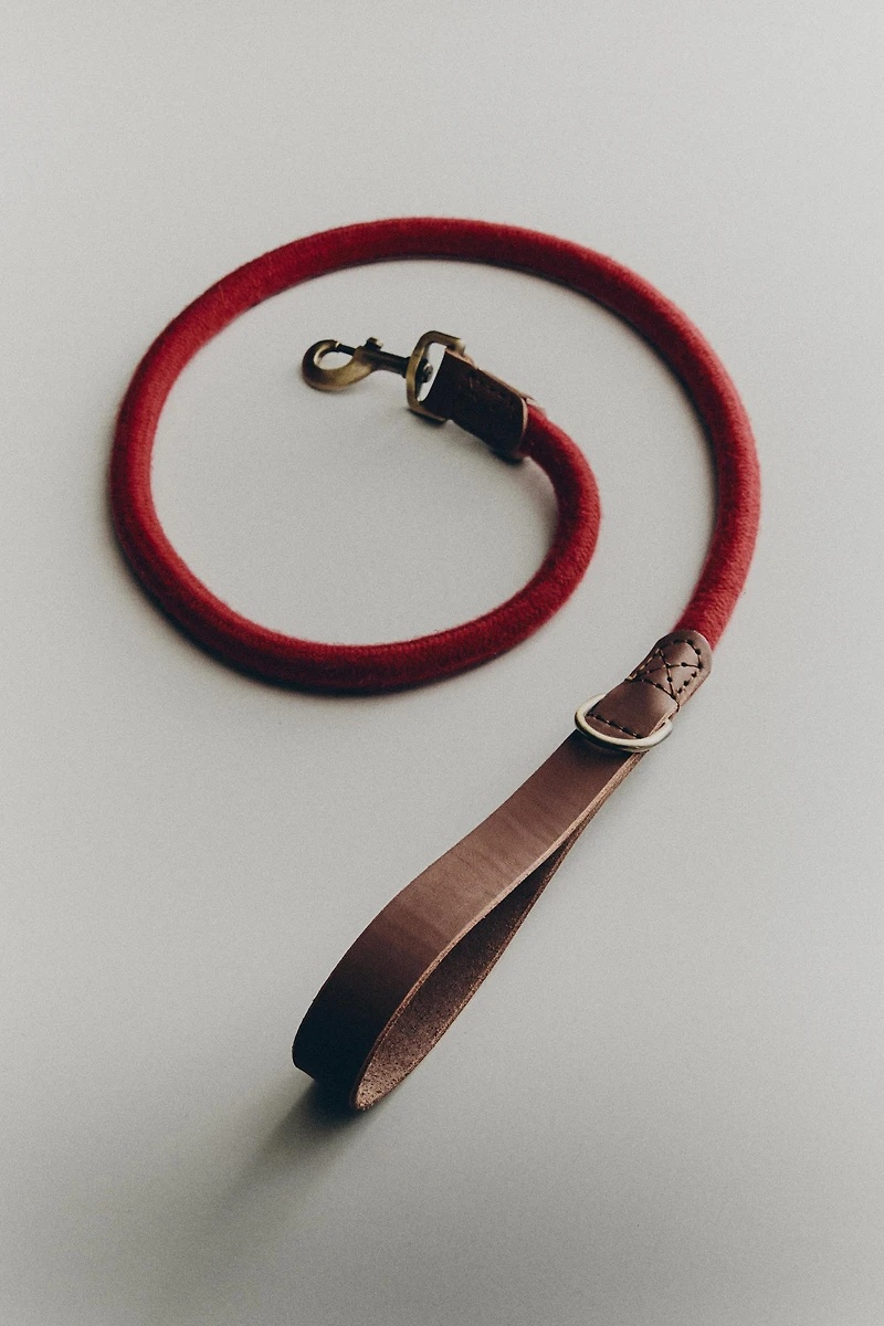 LEATHER ROPE DOG LEAD