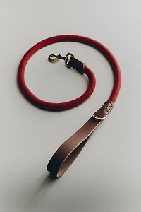 LEATHER ROPE DOG LEAD