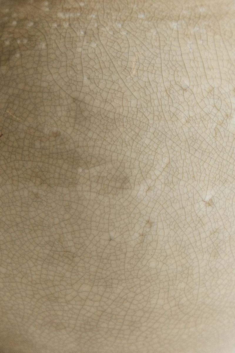 CRACKLED CERAMIC VASE