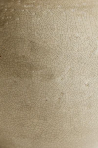 CRACKLED CERAMIC VASE