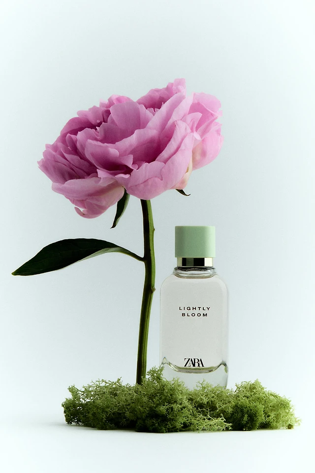 Zara LIGHTLY BLOOM EDP 100ML Yorkdale Mall