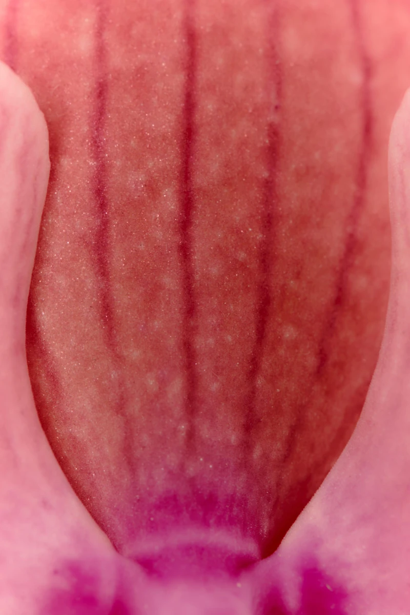 FEMME & PINK FLAMBÉ EDT 2X30 ML (1.01 FL. OZ)