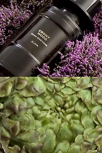 EBONY WOOD ELIXIR EDP 100ML (3.4 FL.OZ).