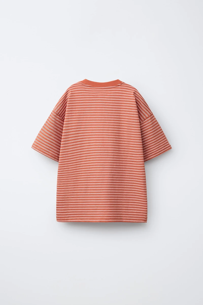 EMBROIDERED STRIPED T-SHIRT
