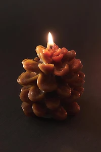 PINE CONE PUMPKIN SPICE SCENTED CANDLE