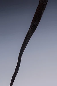 FEMME & PINK FLAMBÉ EDT 2X30 ML (1.01 FL. OZ)