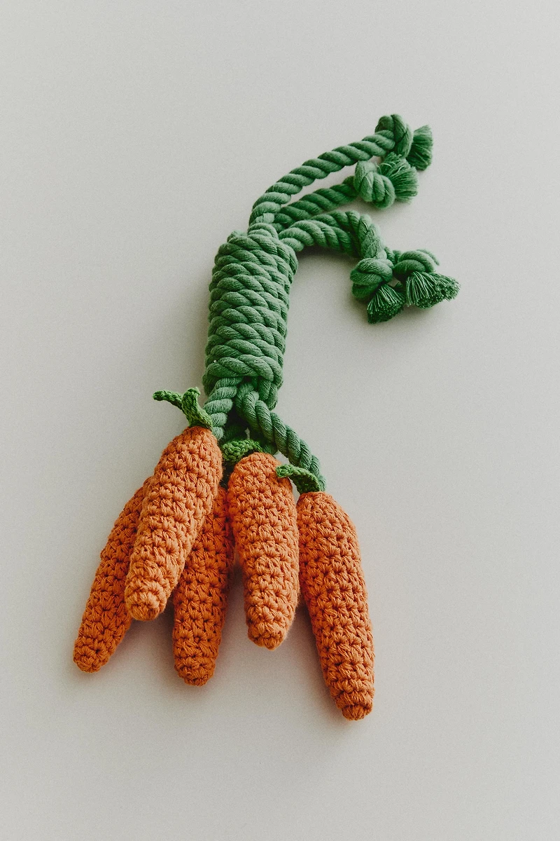 CARROT BOUQUET PET TOY