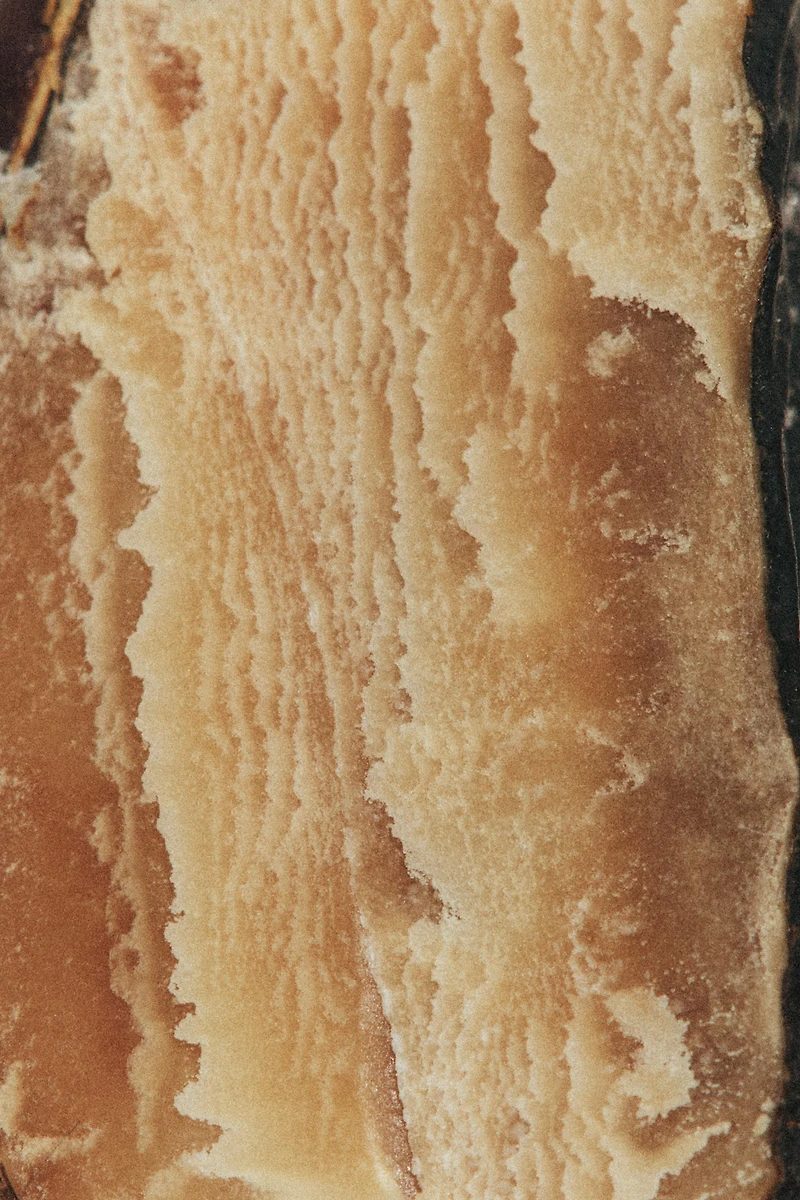 TONKA CREAM EDP 50ML