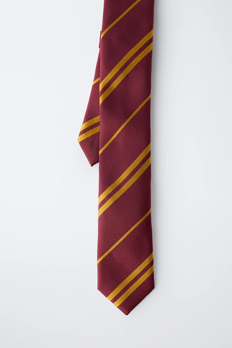 HARRY POTTER ™ COSTUME TIE