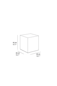 ROOT WOOD CUBE TABLE