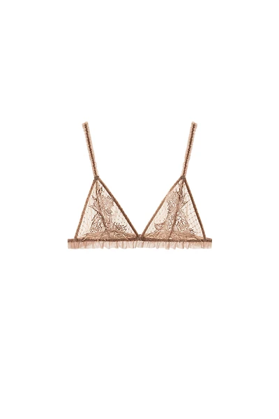 EMBROIDERED MESH BRA