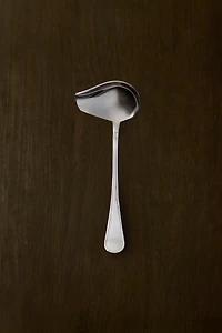 SHINY STEEL SAUCE SPOON