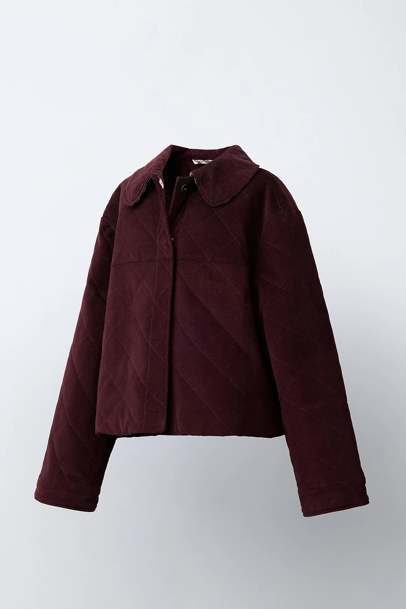 VELVET PETER PAN COLLAR JACKET