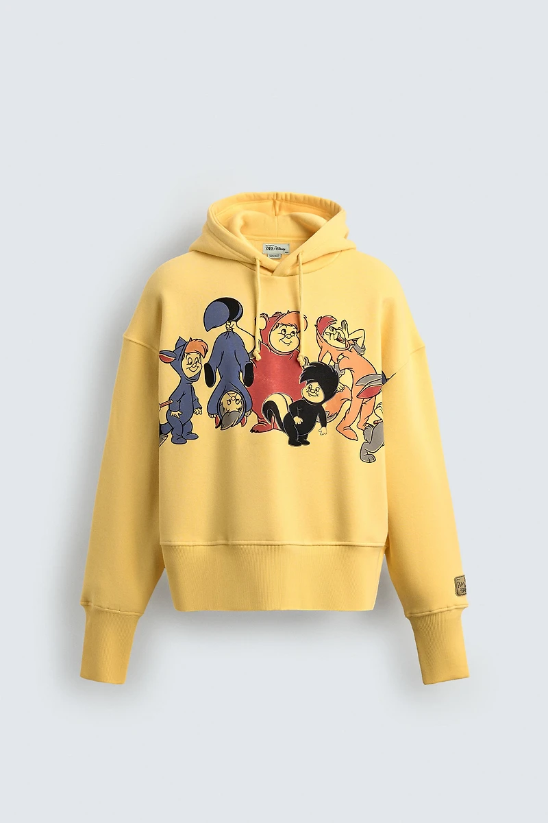 SWEAT À CAPUCHE LES ENFANTS PERDUS PETER PAN HARRY LAMBERT FOR ZARA X DISNEY