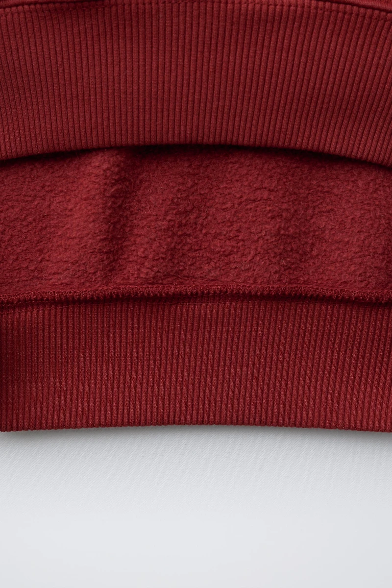 CHAMPION ® X ZARA PRINTED SWEATSHIRT